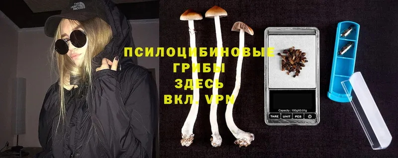 Галлюциногенные грибы MAGIC MUSHROOMS  Белово 